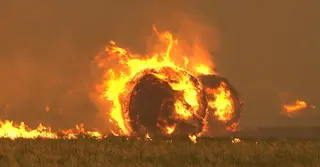 অস্ট্রেলিয়ায় নিয়ন্ত্রণের বাইরে দাবানল, নিখোঁজ ৩